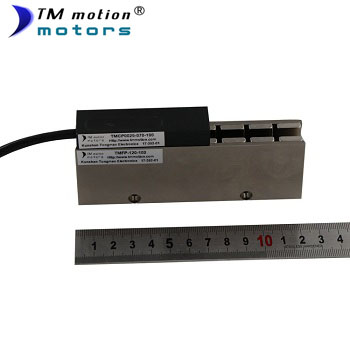運(yùn)動(dòng)控制系統(tǒng)中的直線電機(jī)